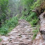 Durch den Wald zur Kasseler Hütte