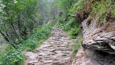 Durch den Wald zur Kasseler Hütte
