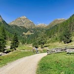 Der Weg zur Astnerbergalm zieht sich durch eine idyllische Landschaft