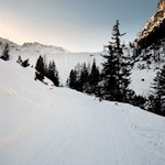 Durch die bezaubernde Winterlandschaft zur Lavarellahütte