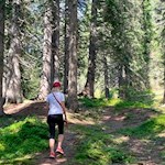 Durch den Wald zur Laureiner Alm