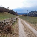 Auf dem sanften Feldweg in Richtung des Buschenschanks Pitschlmann