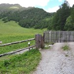 Kurz vor der Fane Alm zweigt der breite Schotterweg Nr. 15 ab