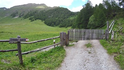 Kurz vor der Fane Alm zweigt der breite Schotterweg Nr. 15 ab