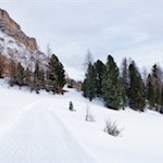 Winterwanderung zur Wallfahrtskirche Heilig Kreuz