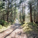 Durch kühle Haine nach St. Konstantin