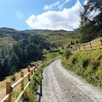 Auf breitem Wege zurück zur Rosskopf Bergstation