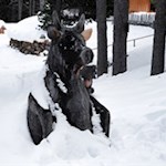 Märchenwald hinter der Rinderplatz Hütte