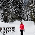 Winterwandern im Karbachtal