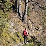 Herbstwanderung zur Ruine Straßberg
