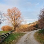 "Es gibt eine Stille des Herbstes bis in die Farben hinein." (Hofmannsthal)