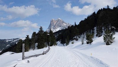 Winterwandern vor der Kulisse des Peitler