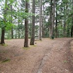 Längs der Fennpromenade laden Bänke zum Verweilen ein