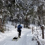 Rodelbahn zum Hofer Alpl