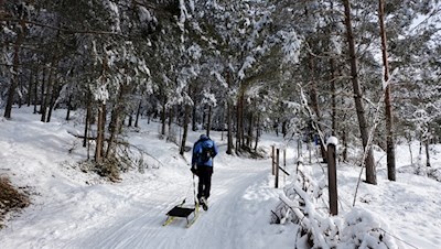 Rodelbahn zum Hofer Alpl