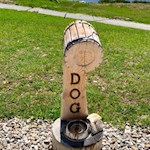 Auch Hunde sind in der Gitschhütte willkommen