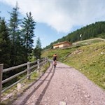 Der Weg zur Auener Alm erfreut sich auch bei Mountainbikern wachsender Beliebtheit