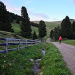 Durch die lieblichen Almwiesen zurück zum Parkplatz Kasereck