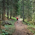 Durch den Wald zur Würzjochstraße