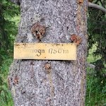 Die Wanderung auf das Würzjoch beginnt in Cialciagn