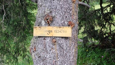 Die Wanderung auf das Würzjoch beginnt in Cialciagn