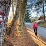 Von Deutschnofen folgt die Wanderung zunächst der Dorfstraße