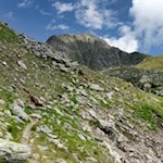 Der letzte Anstieg zum Grindlbergsee