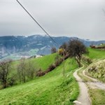 Der-Poststeig-führt-durch-sanft-gewellte-Wiesen