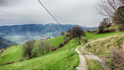 Der Poststeig führt durch sanft gewellte Wiesen