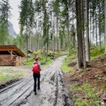 Sanft zieht sich der Seeweg Tru di Lec durch die Wälder bei Badia