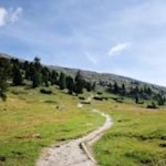 Hinter dem Berggasthaus "Plätzwiese" führt der Weg zunächst durch blumenfrohe Wiesen in Richtung Dürrenstein