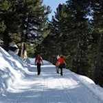 Auf dem sanft ansteigenden Weg Nr. 7 zur Getrumalm