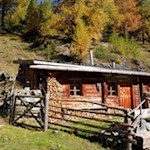 Hinter dieser Almhütte am Rande der Moserebene zweigt der Steig in Richtung Hochfeld ab