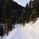 Sanft steigt der Wanderweg zur Schatzerhütte an