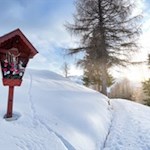 Sanft zieht sich der Weg zur Ochsenhütte