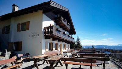 Die Panoramaterrasse des Waldgasthauses Mutkopf