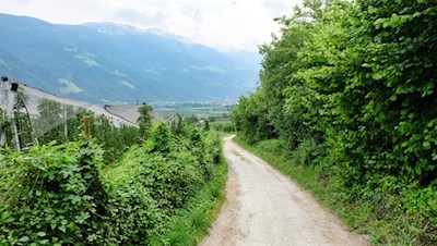 Auf dem Rablander Waalweg