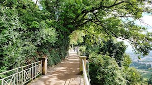 Der-Tappeinerweg-wurde-1892-angelegt