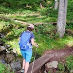 Durch den Wald zur Joggelealm