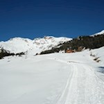 Zu Füßen der Telfer Weißen und des Rosskopf thront die behagliche Freundalm