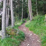 Im steten Anstieg durch den Wald zur Nockalm