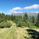 Der sanfte Wanderweg ist ideal für Ausflüge mit Kindern 