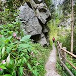 Durch den Wald zum Issinger Weiher