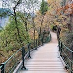 Durch die submediterrane Naturlandschaft nach Bozen