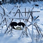 In der Adventszeit wird der Karersee von weihnachtlichen Kunstwerken umrahmt