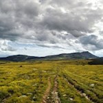 Vor uns erheben sich der Villanderer Berg und das Rittner Horn