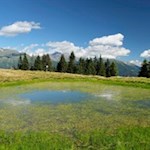 Die lauschige Kastellacke auf dem Rosskopf