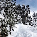 Auf dem Steig Nr. 3 zum Hofer Alpl