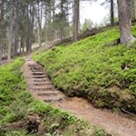 Auf dem sanften Waldpfad Nr. 2A zur Kreuzwiesenalm