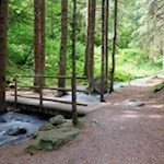 Eine Holzbrücke führt über den Mareiter Bach